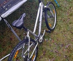 Giant bike