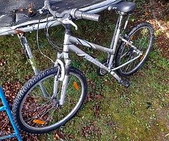 Giant bike