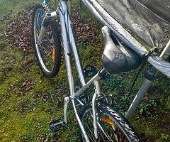 Giant bike - Image 4/7