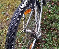Giant bike - Image 5/7