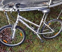 Giant bike - Image 6/7