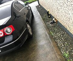Passat b6