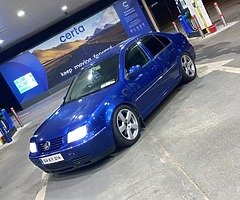 Raven Blue Bora