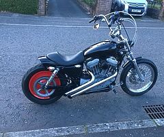 2004 Harley-Davidson XL883C sportster