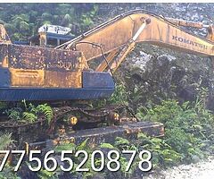 1988 OLD DIGGERS WANTEDD EXPORT  