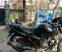 Unicorn 31lot - Image 4/5