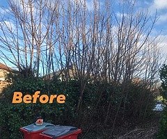 Tree surgeons