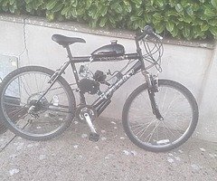 Brand New Motorized Bicycle