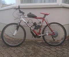 Motorized Bicycle (Brand New)