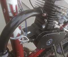 Motorized Bicycle (Brand New)