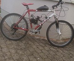 Motorized Bicycle (Brand New)