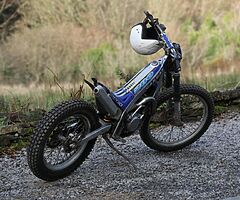 2010 gasgas txt - Image 7/10