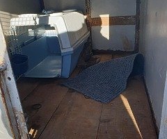 Dog trailer new floor n tyres