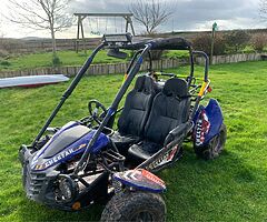 Quadzilla Cheetah 150cc