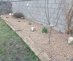 Ecocare landscape