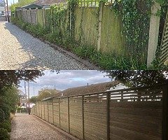 Fencing - Image 3/6