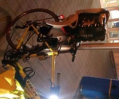 TREK GREEN BIKE 28' STOLEN CAPEL STREET YESTERDAY EVENING