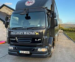Daf lf 4 horse lorry - Image 10/10