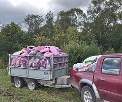 Bags and loads of Turf