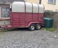 Galway horse box for sale