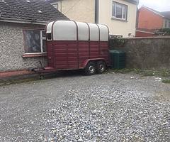 Galway horse box for sale