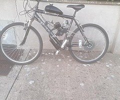 Brand New Motorized Bicycle