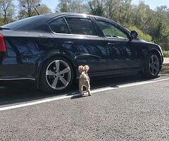 Skoda Octavia Elegance 1.6 tdi
