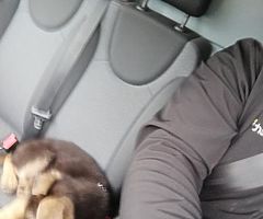 2008 Peugeot 107 - Image 6/6