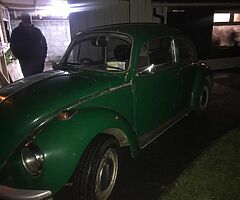 1973 Beetle 1303