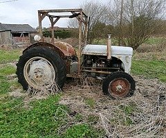 Ferguson 20