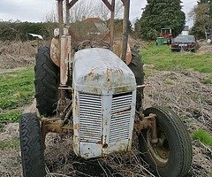 Ferguson 20