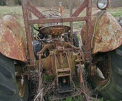 Ferguson 20