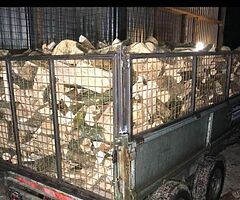 Trailer loads of hardwood timber - Image 3/3