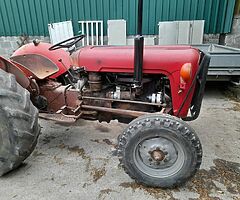MASSEY FERGUSIN 35 GOLD BELLY