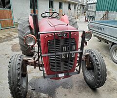MASSEY FERGUSIN 35 GOLD BELLY