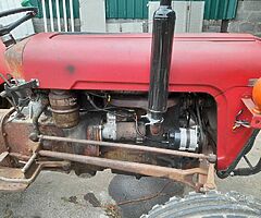 MASSEY FERGUSIN 35 GOLD BELLY - Image 3/9
