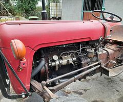 MASSEY FERGUSIN 35 GOLD BELLY - Image 4/9