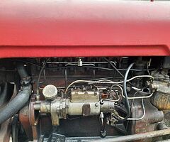 MASSEY FERGUSIN 35 GOLD BELLY - Image 5/9