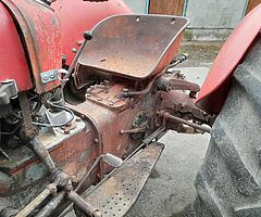 MASSEY FERGUSIN 35 GOLD BELLY - Image 6/9