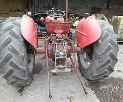 MASSEY FERGUSIN 35 GOLD BELLY - Image 7/9