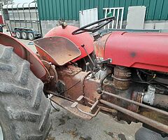 MASSEY FERGUSIN 35 GOLD BELLY - Image 9/9