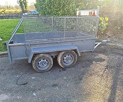 8 X 4 Trailer (Mesh Sides)