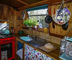 1993 Colecraft Narrowboat 60 ft (18M) - Image 4/10