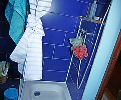 1993 Colecraft Narrowboat 60 ft (18M) - Image 8/10