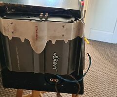 Mutant Car Subwoofer