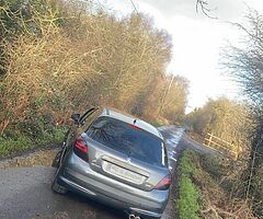 Peugeot 207 SWAPS