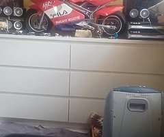 Mini moto