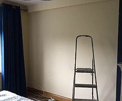 Painter