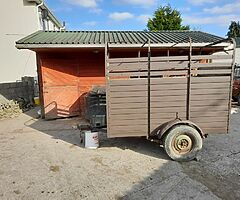 Pony/Calf/  sheep trailer