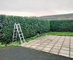Michael tree Care